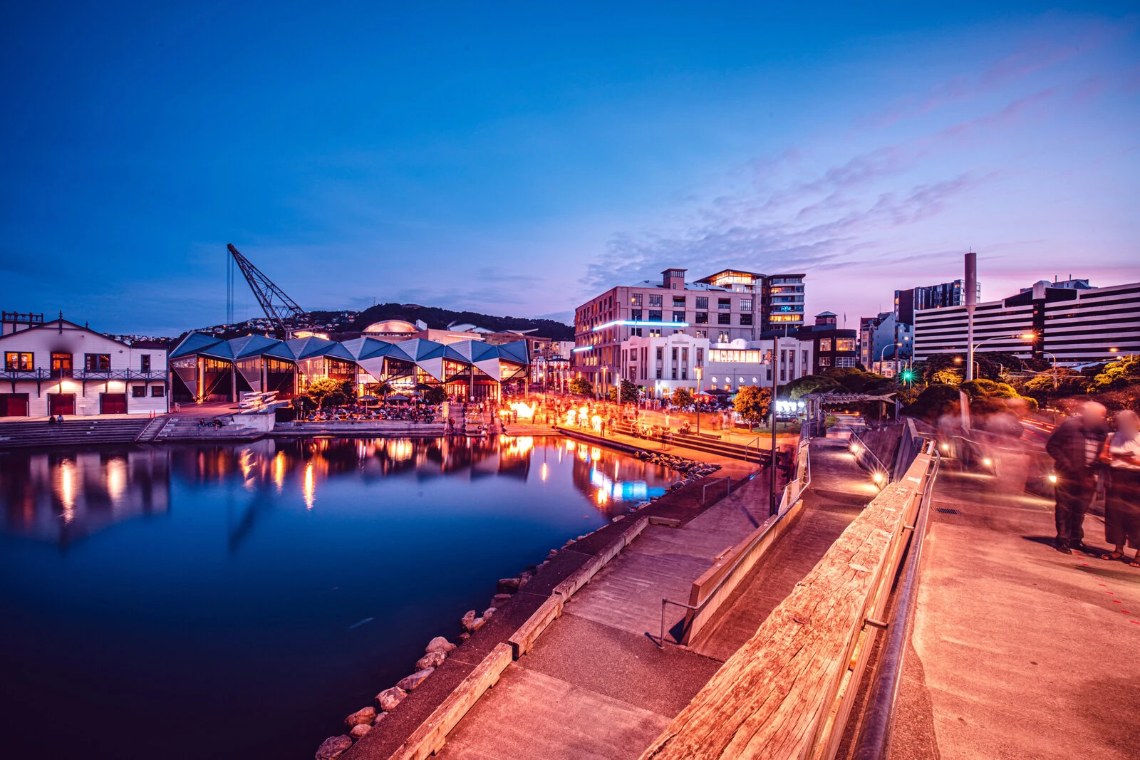 Nightscape of wellington city, new zealand
