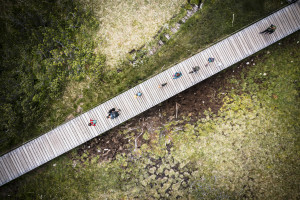 Journey Orchestration and the Path to Better Experiences