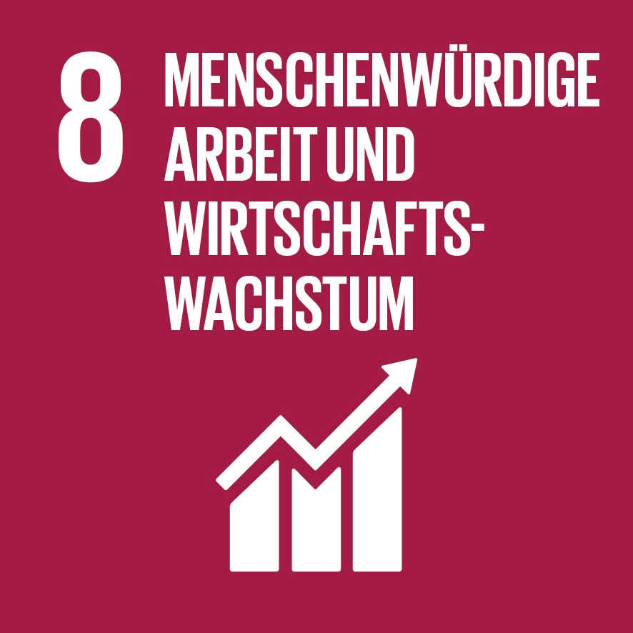 Sdg icon de 08